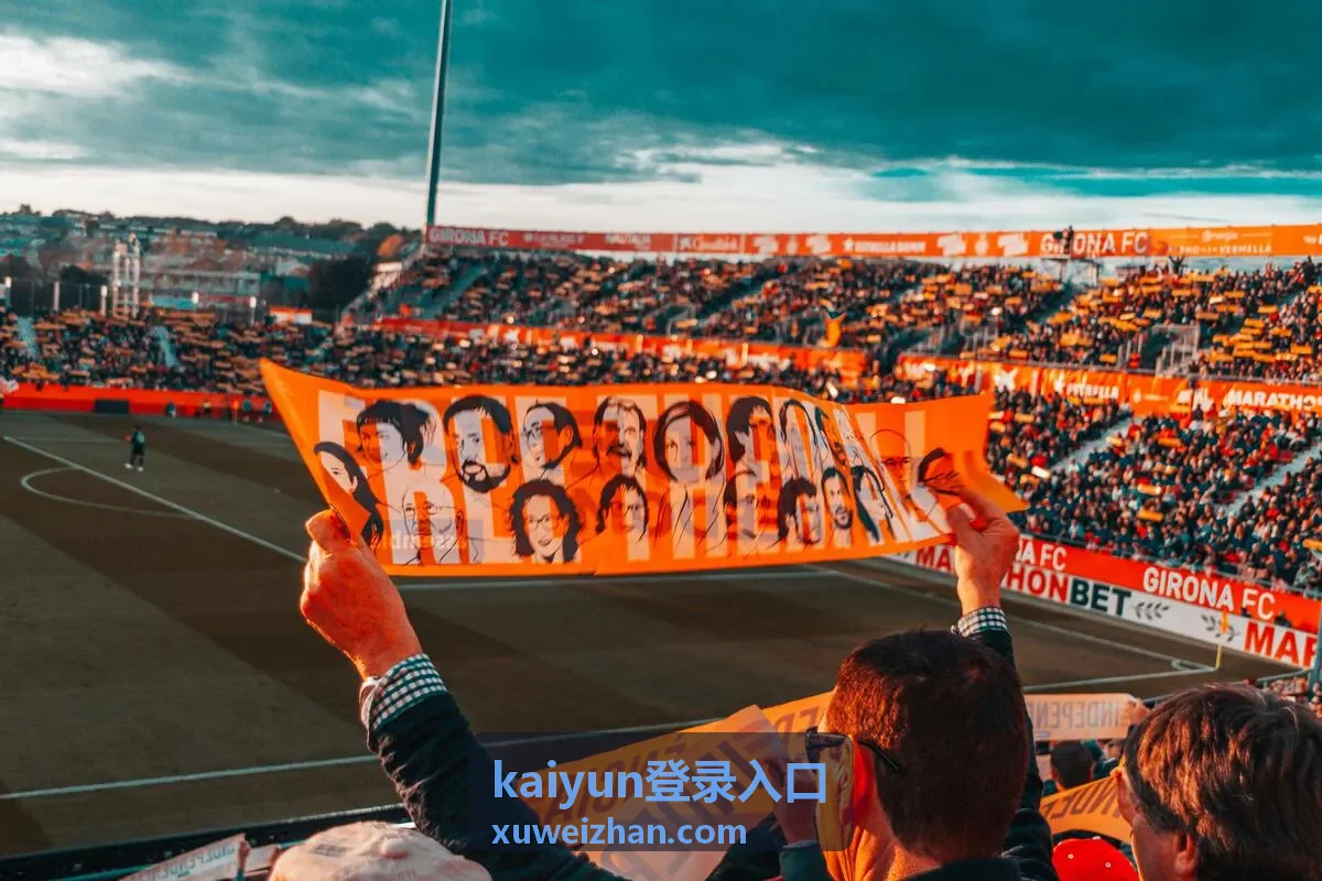 kaiyun登录入口验证码校验示意