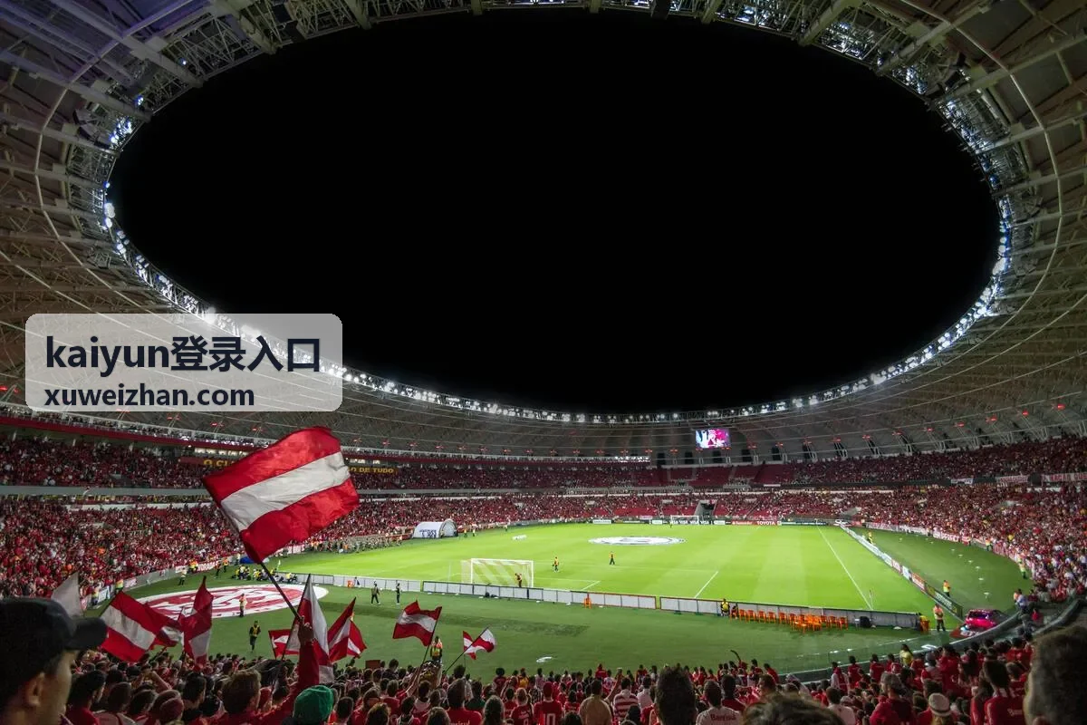 kaiyun登录入口账号状态检查示意