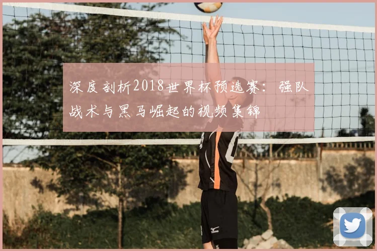 深度剖析2018世界杯预选赛：强队战术与黑马崛起的视频集锦