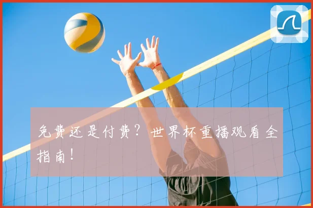 免费还是付费?世界杯重播观看全指南!