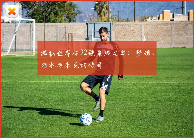 揭秘世界杯32强最终名单:梦想、泪水与未竟的传奇
